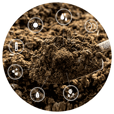 Compost monitoring data analysis